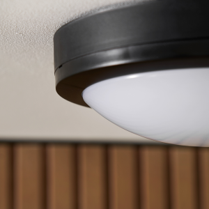 Zien Bulkhead Outdoor Wall Light 12W Black