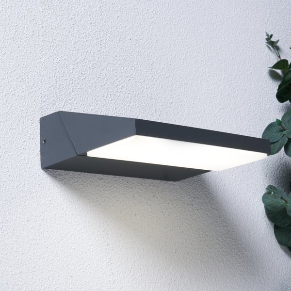 Rayu Outdoor LED Up or Down Adjustable Wall Light, Anthracite